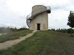 ഒരു വലിയ കോഴിയെ പുറത്തെടുത്തു, സോഫയുടെ പിൻഭാഗത്ത് നാശം