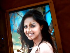 പരിചയസമ്പന്നനായ ഒരു മനുഷ്യന്റെ കൈകളിൽ കുരുവി അച്യുതാനന്ദൻ