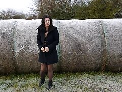 കുതിര തുളച്ചുകയറുന്ന കൂടെ സുന്ദരമായ കുതിര നശിപ്പിച്ചു