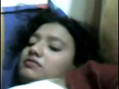 സുന്ദരിയായ ഒരു കോഴിയെ കഴുത ഇഷ്ടപ്പെട്ടു