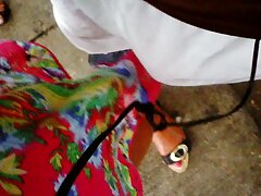 എബണി ഡോഗ് മോസ്ട്ര